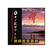 DFSD270 [サンプリング素材] ORIENTAL GROOVE