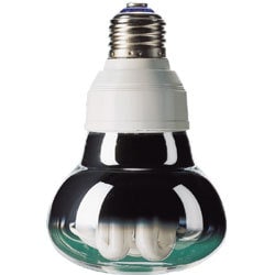 電球形蛍光灯 EFR15ED13 レフ形パルックボール（パルックday色） 60W