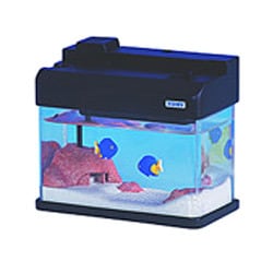 ヨドバシ Com タカラトミー Takaratomy マイクロアクア 海水魚 シリキルリスズメダイ 通販 全品無料配達 ヨドバシ Com タカラトミー Takaratomy マイクロアクア 海水魚 シリキルリスズメダイ 通販 全品無料配達