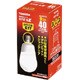 電球形蛍光灯 E17口金 3波長形電球色 ネオボールZ A10形（9W） EFA10EL/9-E17