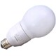 電球形蛍光灯 PFA25ED20 無電極パルックボール A形・E26口金（パルックday色） 100W電球タイプ