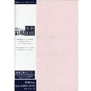 彩現名刺 A4 厚口 両面印刷可能 A4 10面×10 TJS-A4BC-3110