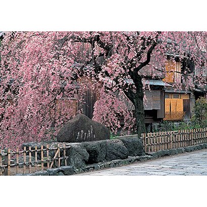 RS13-248 ギオンシラカワ [1000ピース]