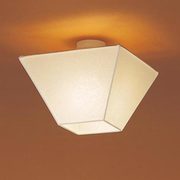 LB55958  照明器具 IL60小型CL
