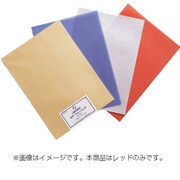 キャンソンカラートレーシング1010RED A4(5) 751429P