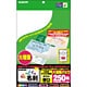 なっとく名刺 ホワイト 厚口 A4 25枚10片 MT-JMN2WNZ