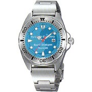SURF(サーフ)クオーツ レディース WS0231SZ