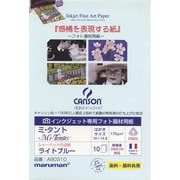 インクジェット用 ライトブルーキャンソンDAP ミ・タント POST A90310