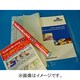 10002 フィルムルックス609 50cm×2.0m
