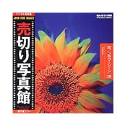 JFI20 [花/フラワーシーン 写真素材集]