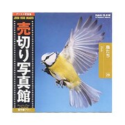 JFI29 [鳥たち 写真素材集]