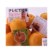 POPカードB7 A4（91×128×4面） 2セット IJPOP-09