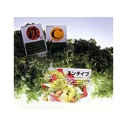 耐水POPカード ノーカット A4 2セット IJPOP-10