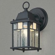 シャンデリア電球40W形 防雨形 IB30058