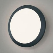 白熱灯 アウトドアライト ブラック IB30001