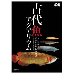 古代魚アクアリウム ーアロワナピラルクたちの世界ー 古代魚アクアリウム ーアロワナピラルクたちの世界ー
