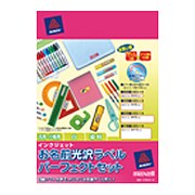 お名前光沢ラベルパーフェクトセット 専用ソフト付き 10枚 C-SNAH-10