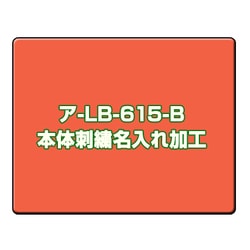 刺繍名入れ対応 フエルアルバムDigio 誕生用 ディックブルーナ/ミッフィー プラコートアートフル台紙 Lサイズ ブルー ア-LB-615-B