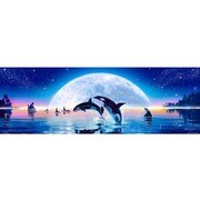 ジグソー 81-959 ラッセン 月光浴 954ピース