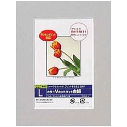 DigioカラーVカットマット台紙 Lサイズ グレー DGVM-L-N