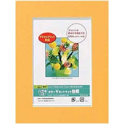 憧れの ヨドバシ.com DigioカラーVカット Nakabayashi ナカバヤシ - その他