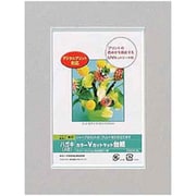 DigioカラーVカットマット台紙 A6(ハガキ)サイズ グレー DGVM-A6-N