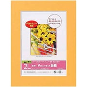 DigioカラーVカットマット台紙 2Lサイズ オレンジ DGVM-2L-O