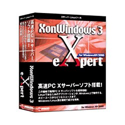 X on Windows 3 Expert Win