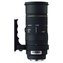 ヨドバシ.com - シグマ SIGMA APO 50-500mm F4-6.3 EX DG