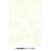 新アトモス ワサビ B5 B5-A-03