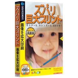 ズバリ巨大プリント 説明扉付きスリムパッケージ版 Win