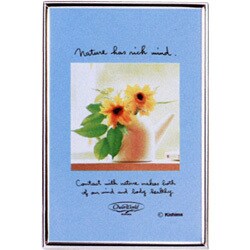 KK-9232 メタルフレーム