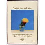 KK-9233 メタルフレーム