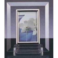 ガラスフレーム KG-8597