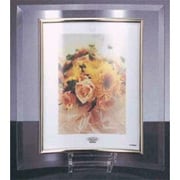 KG-8251 ガラスフレーム