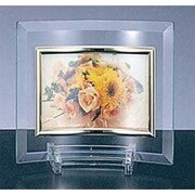 ガラスフレーム KR-8026