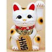 招き猫 [招き猫 白 7寸 左]