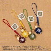ねつけ フクカメ