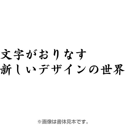 フォントワークスOpenTypeフォント グレコStd-B for Mac [Mac]
