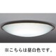 シーリングライト LF-3859-N
