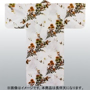 638 [メンブロード 金鶴 ナガバンテン 白]