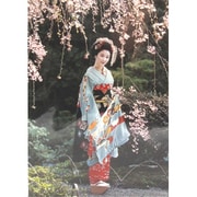 30-701 [JAPANポストカード 京舞妓 京都A]