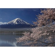 30-714 [JAPANポストカード 春景富士 山梨]
