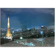 30-741 [JAPANポストカード 東京タワーの夜景]