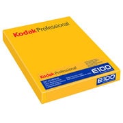 Kodak エクタクロームE100G 4×5 10シート入