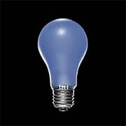 白熱電球 昼光ランプ E26口金 100V 100W形 CHUKO100V100WN