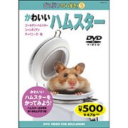 どうぶつだいすき 5 かわいいハムスター