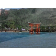 30-762 [JAPANポストカード 厳島神社]