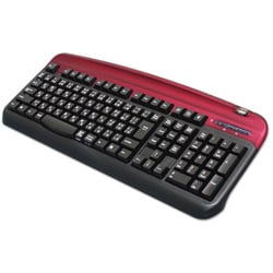 PS/2接続 日本語111キーボード USBポート搭載 AKB-111A-RD