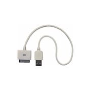 iPod用 USB2.0ショートケーブル 30cm GS-CA04P